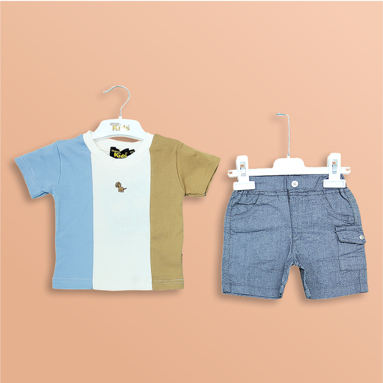 Casual Tshirt & Shorts Set